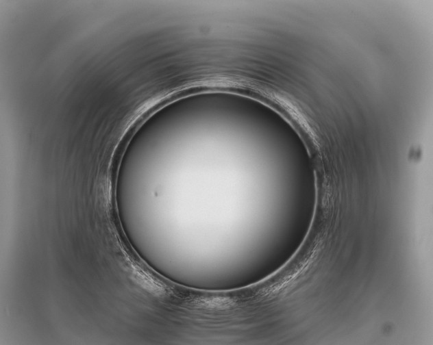 X0000096160837200801251125