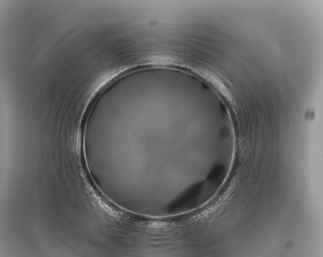 X0000096160839200801251125