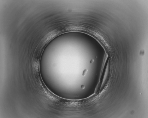 X0000096160841200801251125