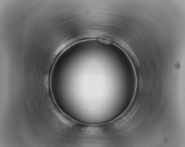 X0000096160842200801251125