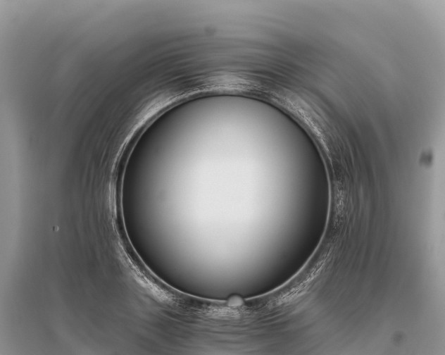 X0000096160843200801251125