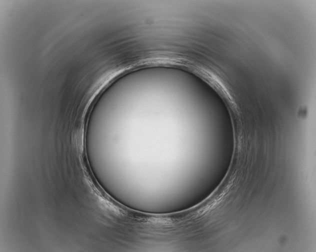 X0000096160844200801251125