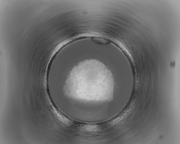 X0000096160845200801251125