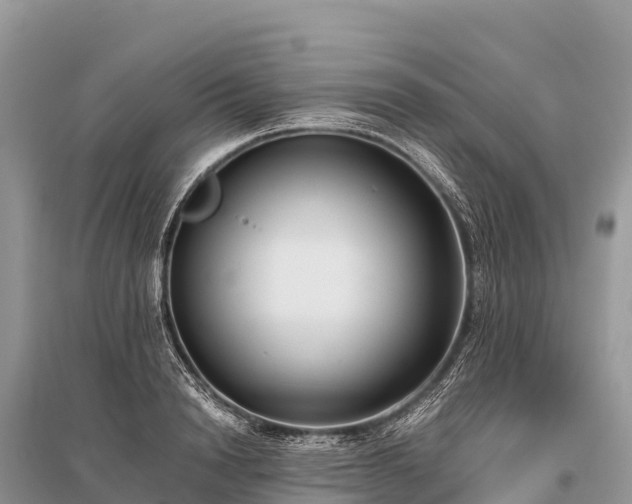 X0000096160846200801251125
