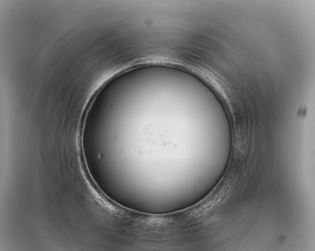 X0000096160847200801251125