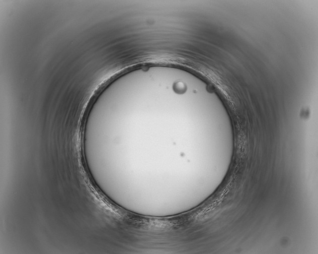 X0000096160848200801251125