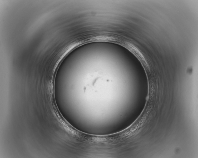 X0000096160852200801251125