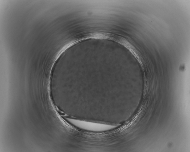 X0000096160853200801251126