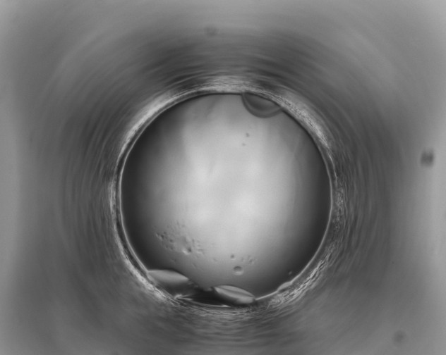 X0000096160855200801251126