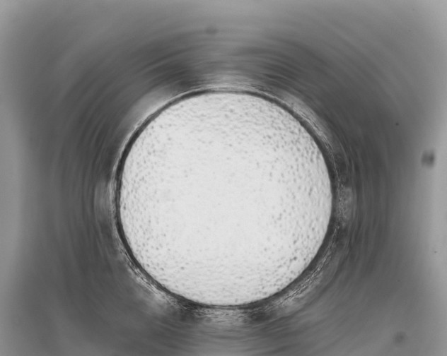 X0000096160856200801251126