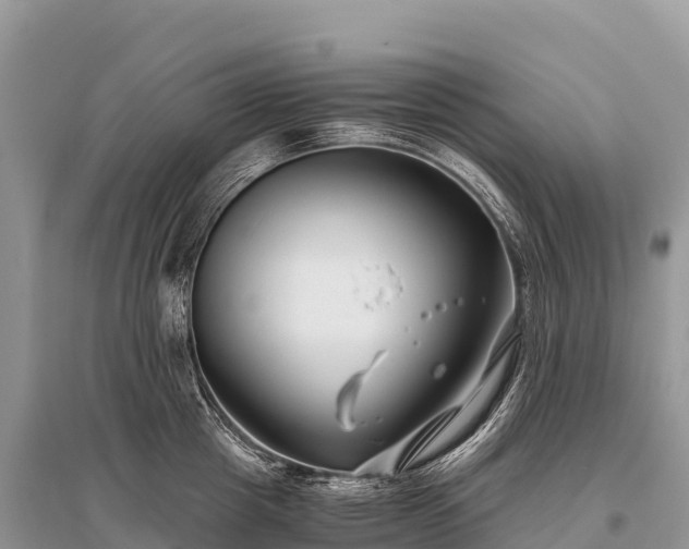 X0000096160857200801251126