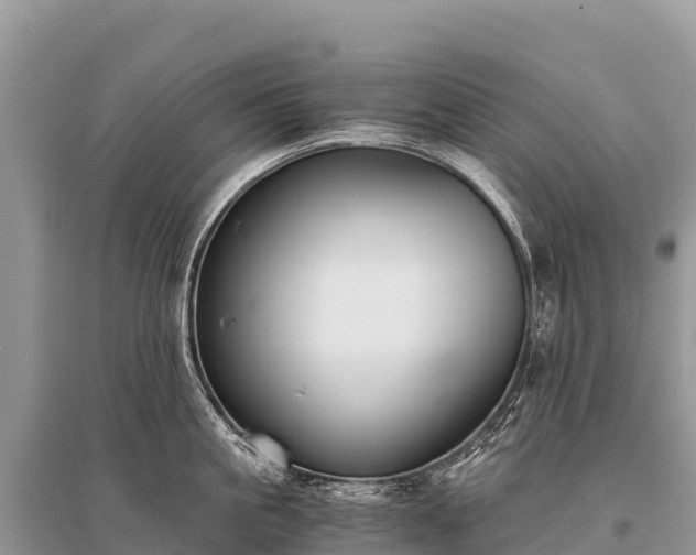 X0000096160861200801251126