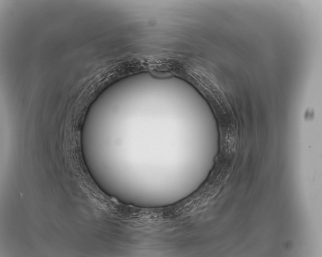 X0000096160865200801251125
