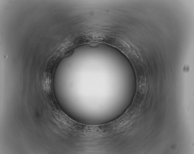 X0000096160866200801251125