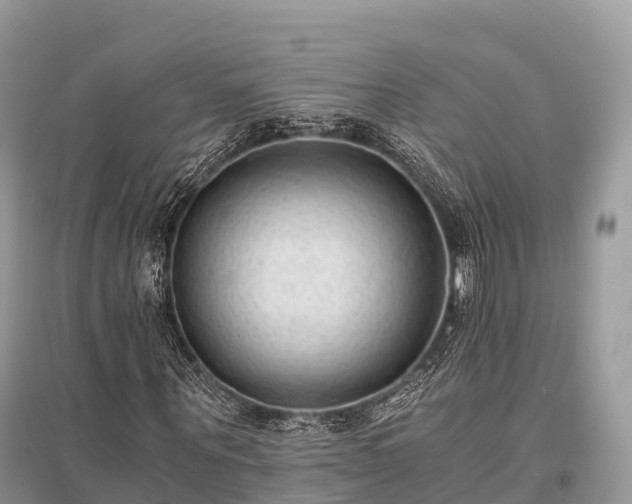 X0000096160867200801251125