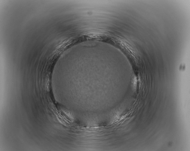 X0000096160868200801251125