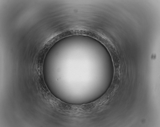 X0000096160870200801251125