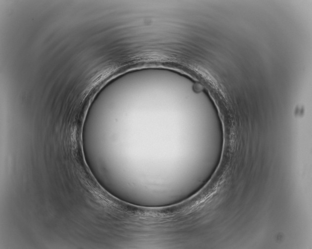 X0000096160873200801251125