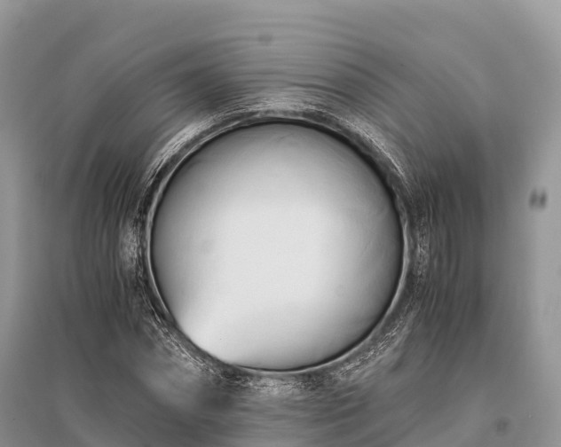 X0000096160874200801251125