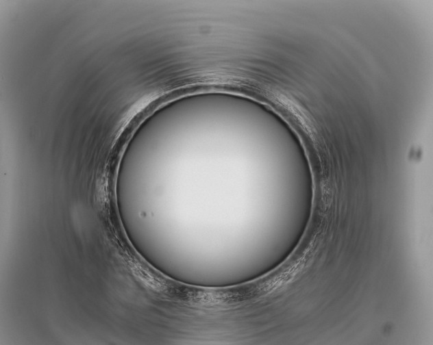 X0000096160875200801251125