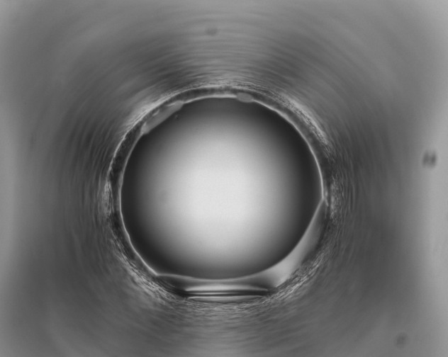 X0000096160876200801251125