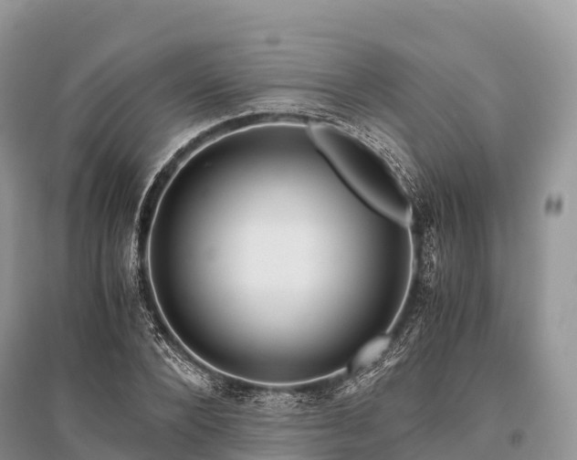 X0000096160880200801251125