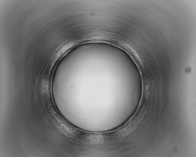 X0000096160882200801251125