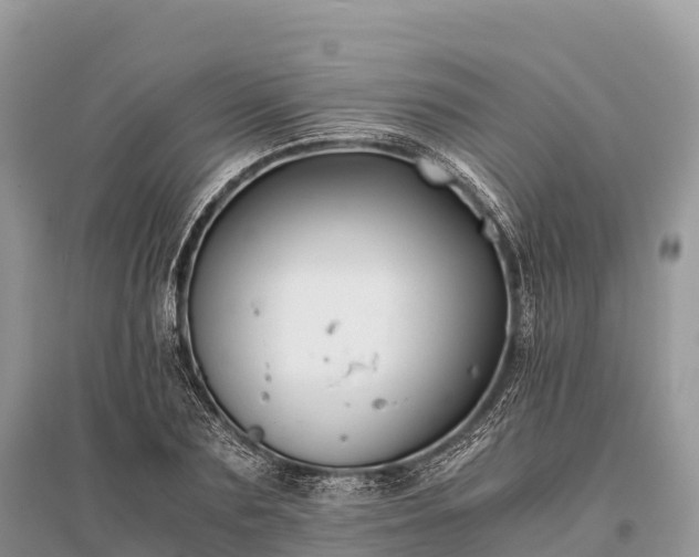 X0000096160883200801251125