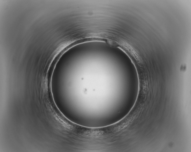 X0000096160884200801251125