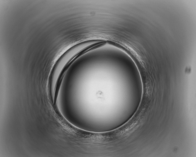 X0000096160885200801251125
