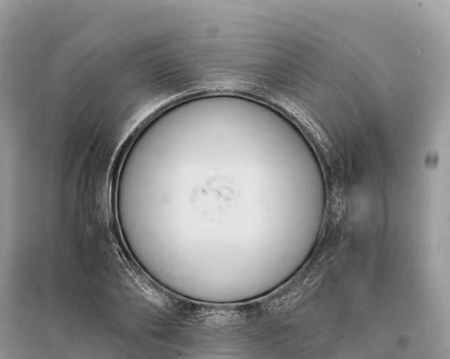 X0000096160886200801251125