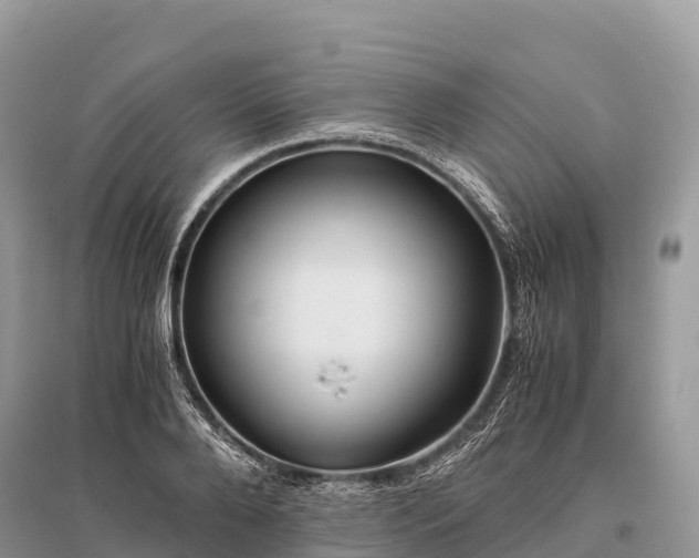 X0000096160888200801251125