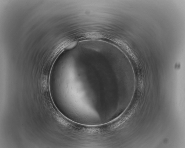 X0000096160889200801251125
