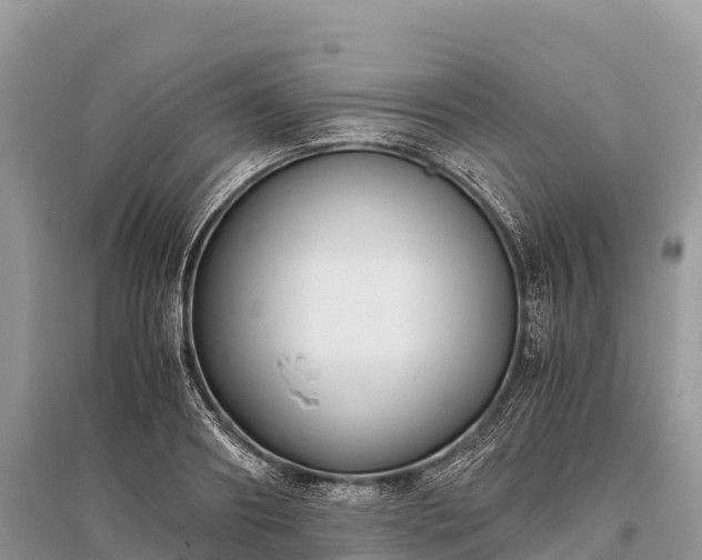 X0000096160890200801251125