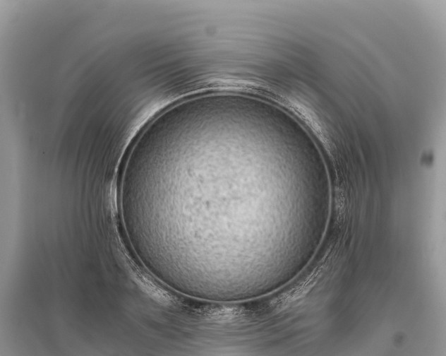 X0000096160891200801251125