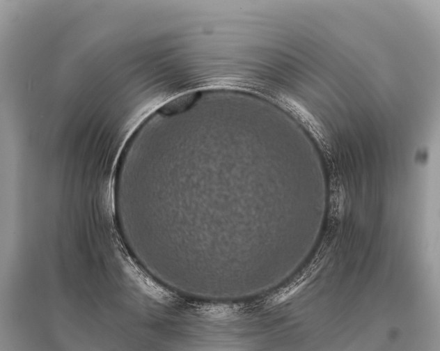 X0000096160892200801251125