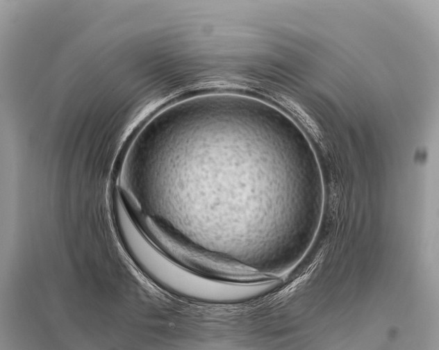 X0000096160893200801251125