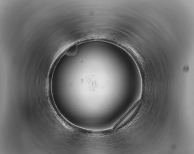 X0000096160894200801251125