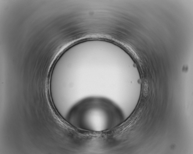 X0000096160895200801251125