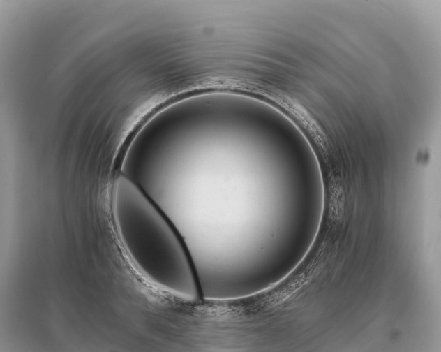 X0000096160896200801251125