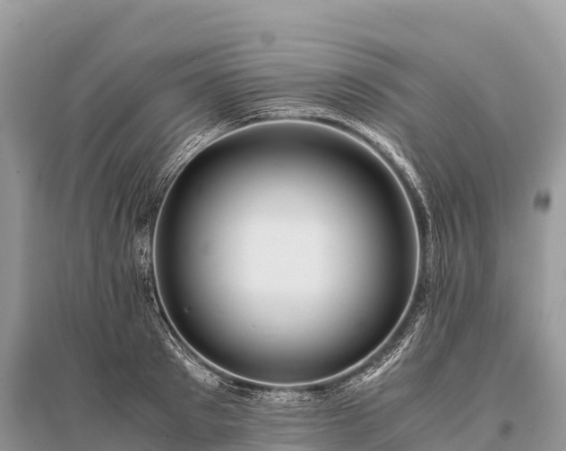 X0000096160897200801251125