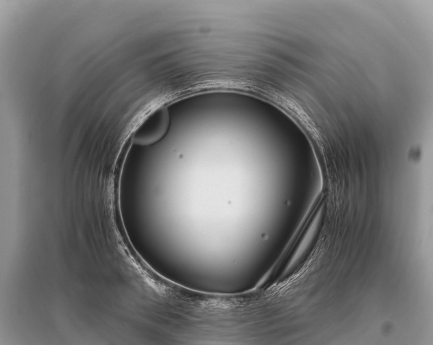 X0000096160898200801251125