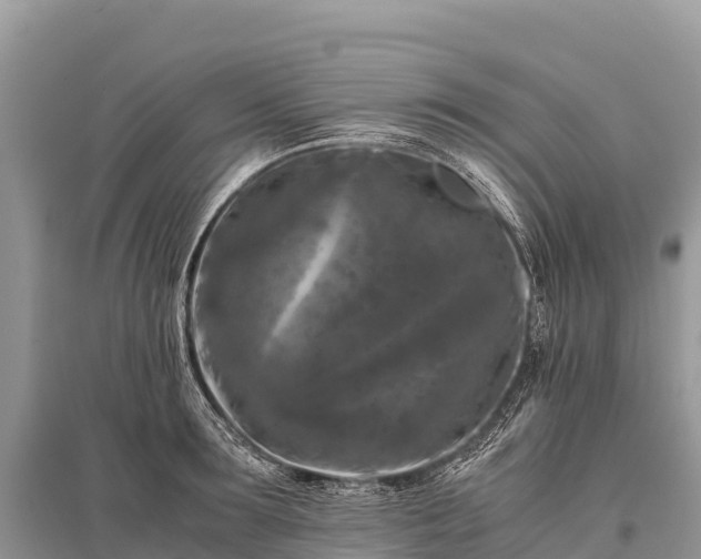X0000096160899200801251125