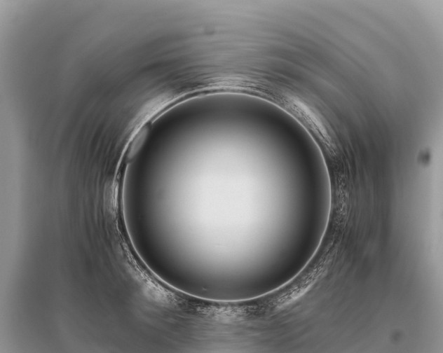 X0000096160900200801251125