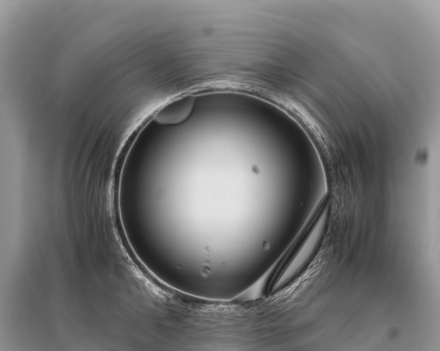 X0000096160902200801251124