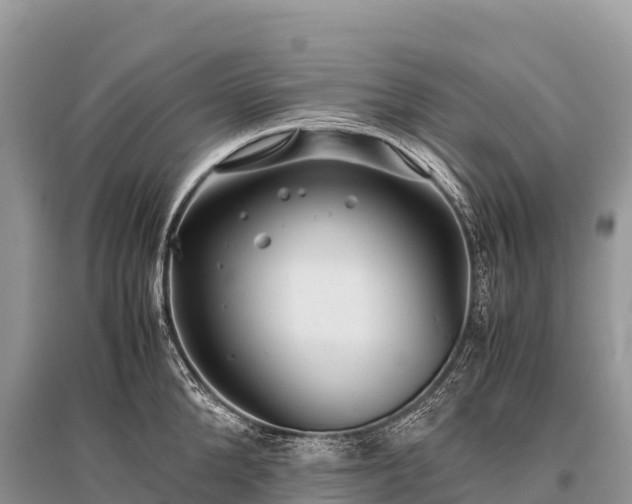 X0000096160904200801251124