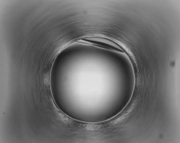X0000096160905200801251124