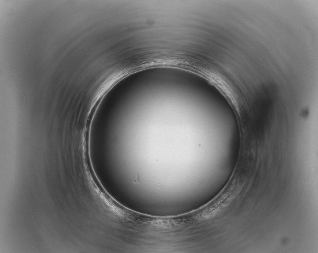 X0000096160906200801251124