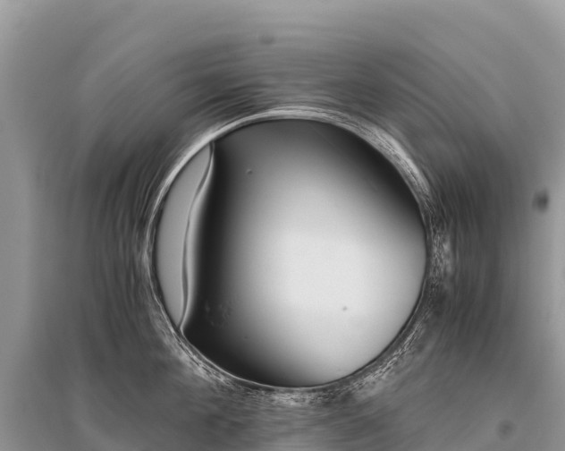 X0000096160908200801251124