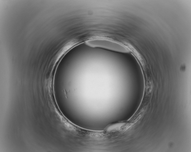 X0000096160909200801251124